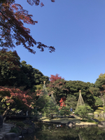 EDE819DB-A31C-4953-A69F-A64C9E89B5D3.jpg