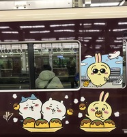 F98F2CF0-61E5-4AB2-92A7-24529F0D5CE2.jpeg